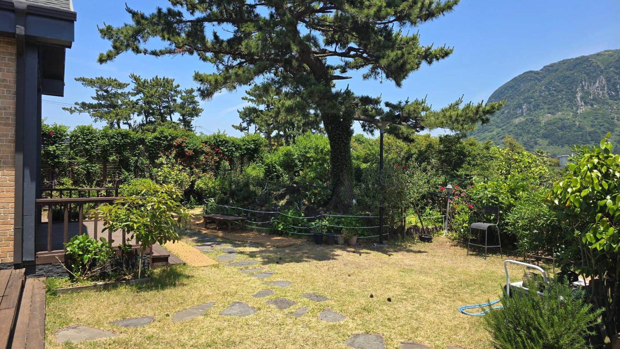סאוגוויפו Wind Jeju Cafe & Pension מראה חיצוני תמונה
