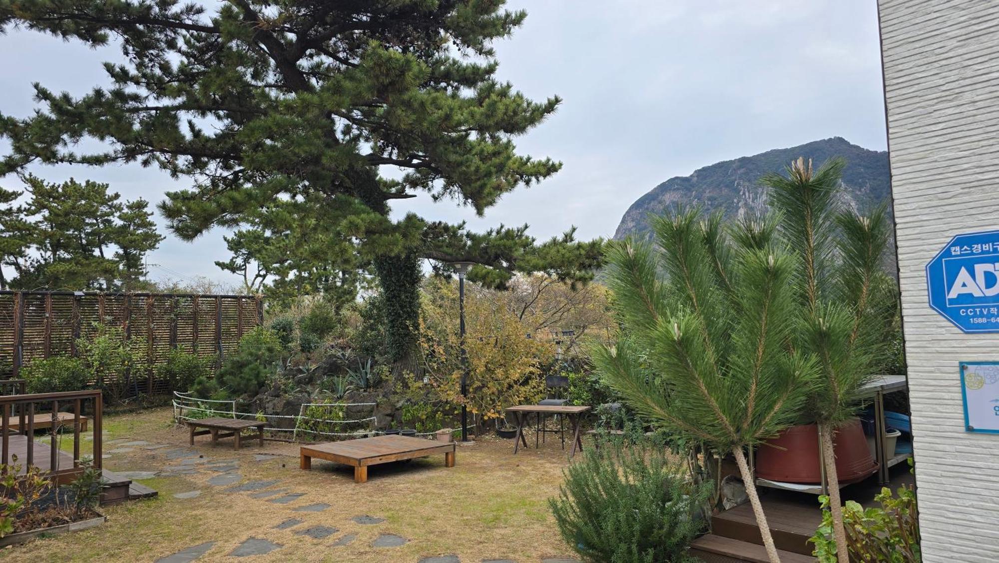 סאוגוויפו Wind Jeju Cafe & Pension מראה חיצוני תמונה