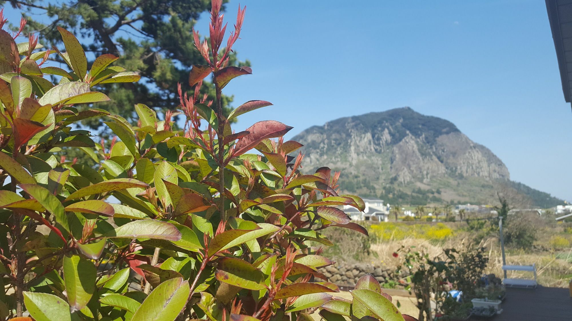 סאוגוויפו Wind Jeju Cafe & Pension מראה חיצוני תמונה